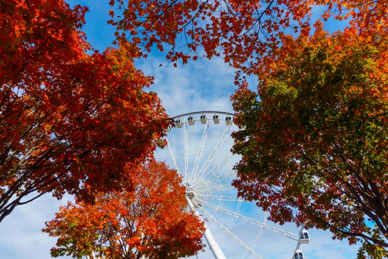 La Grande Roue de Montréal