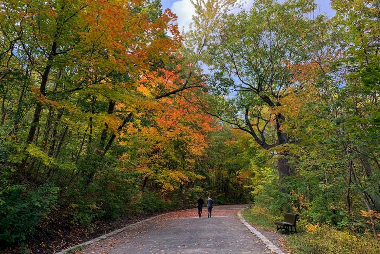 Percorrendo o Parque Mount Royal