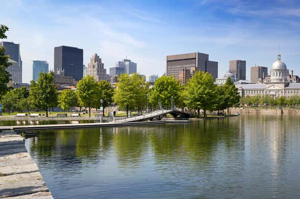 Tour panorámico por Montreal