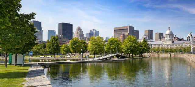 Tour panorámico por Montreal