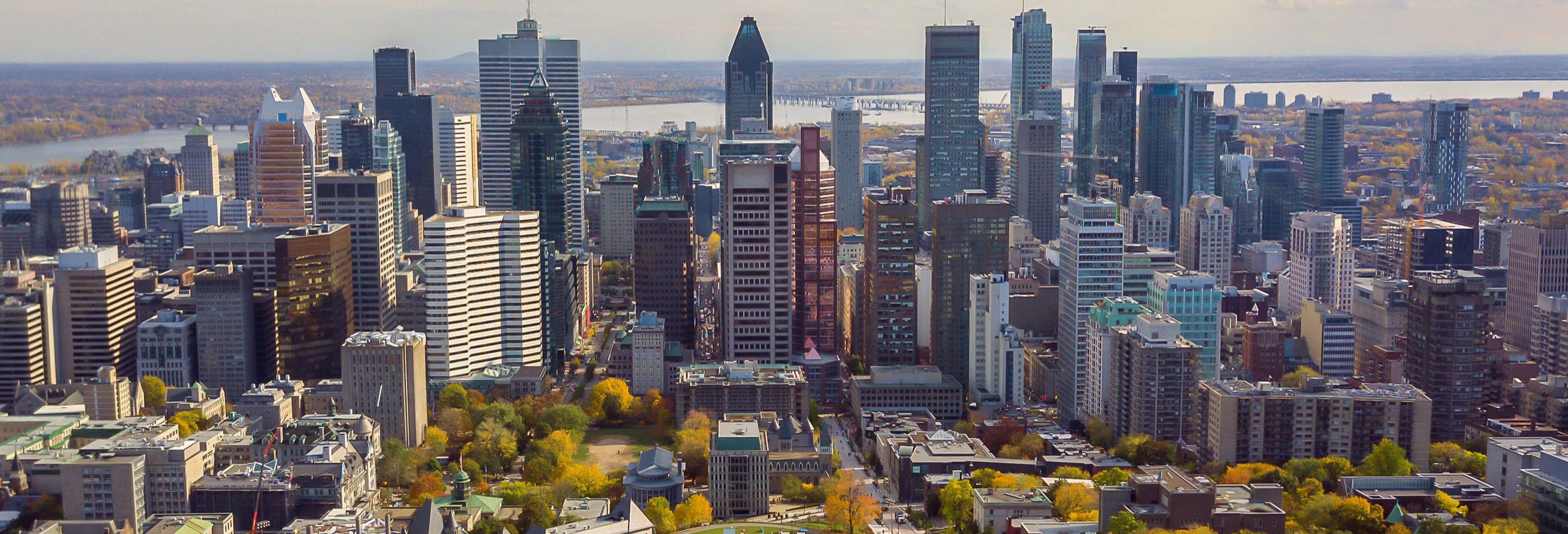 Guided tours and free tours in Montreal
