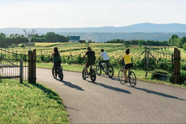 Explorando la isla de Orleans en bicicleta eléctrica