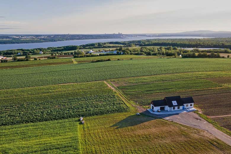 Vistas aéreas de los viñedos de la isla de Orleans