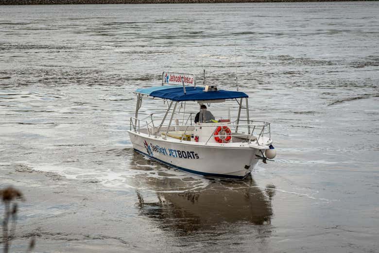 Watch boats sail by the Saint John River