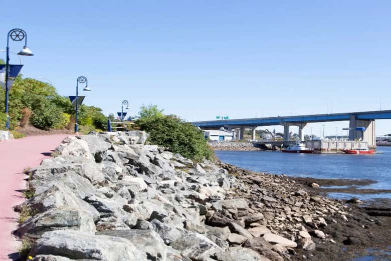 Views of Saint John's Bay