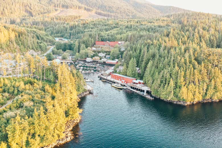 Telegraph Cove dall'alto