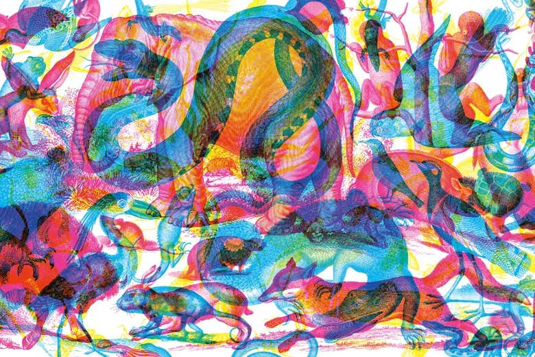 Look at Carnovsky's "Animalla n. 1"