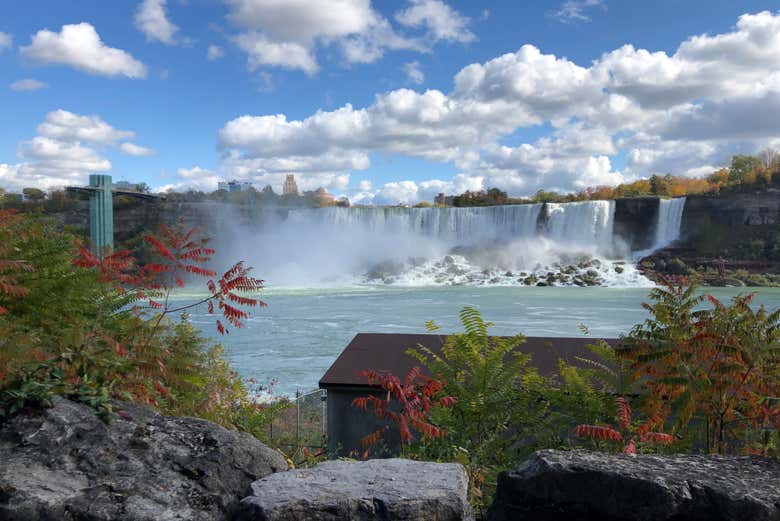 Escursione alle cascate del Niagara