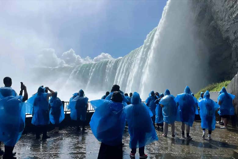 Admire the breathtaking Niagara Falls