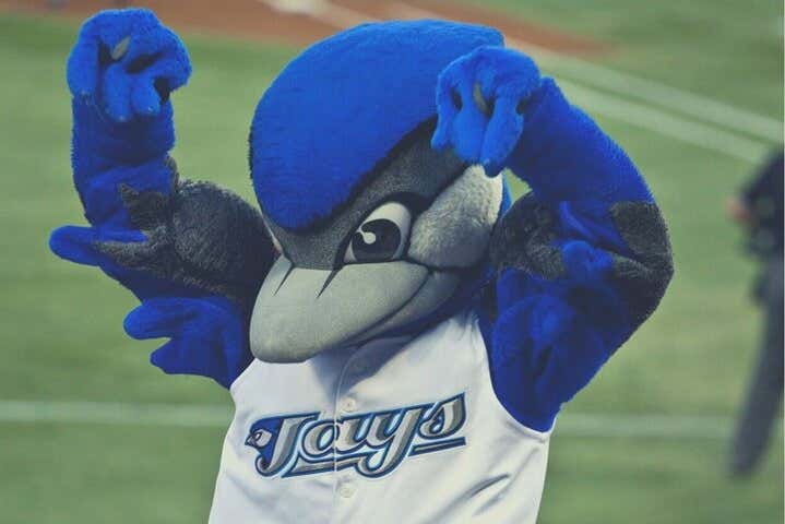 The team's friendly mascot
