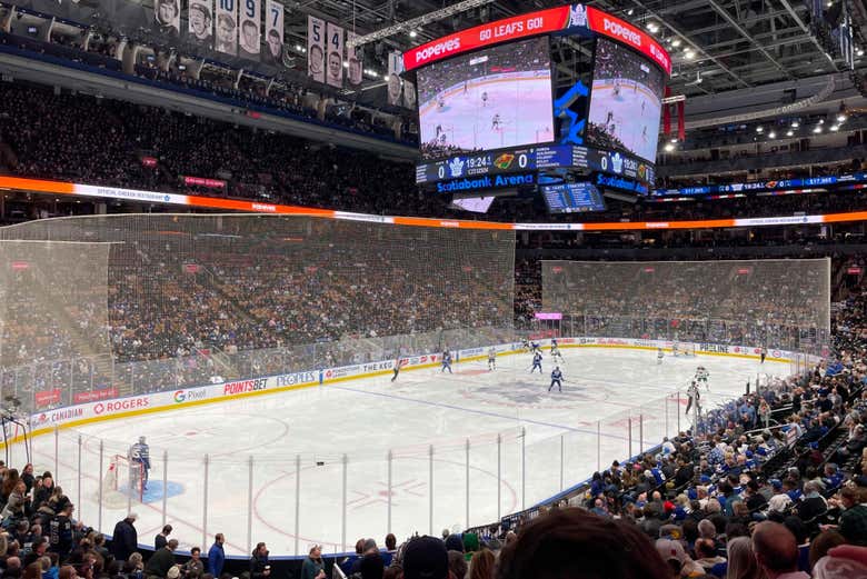 Torcendo pelos Maple Leafs na arquibancada