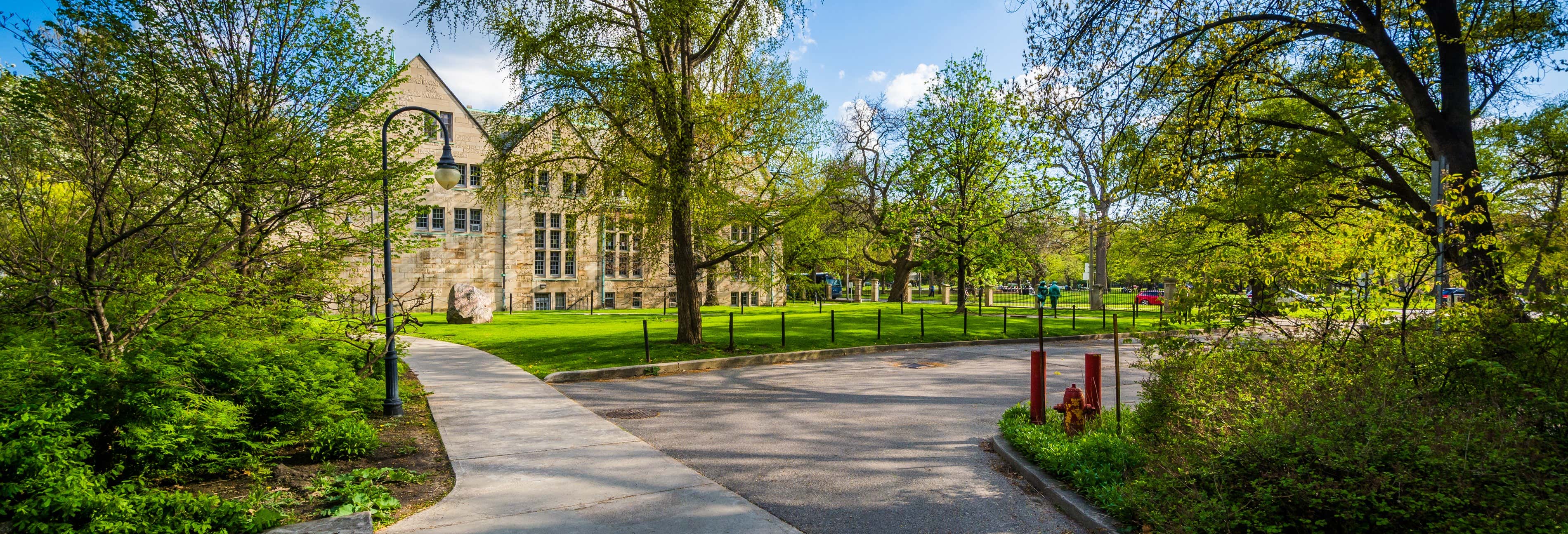 Visitas guiadas y free tours en Toronto