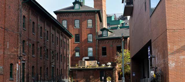 Visita guiada por Distillery District
