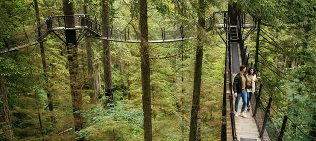 Ticket to Capilano Suspension Bridge Park