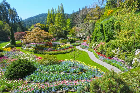 Excursión privada desde Vancouver