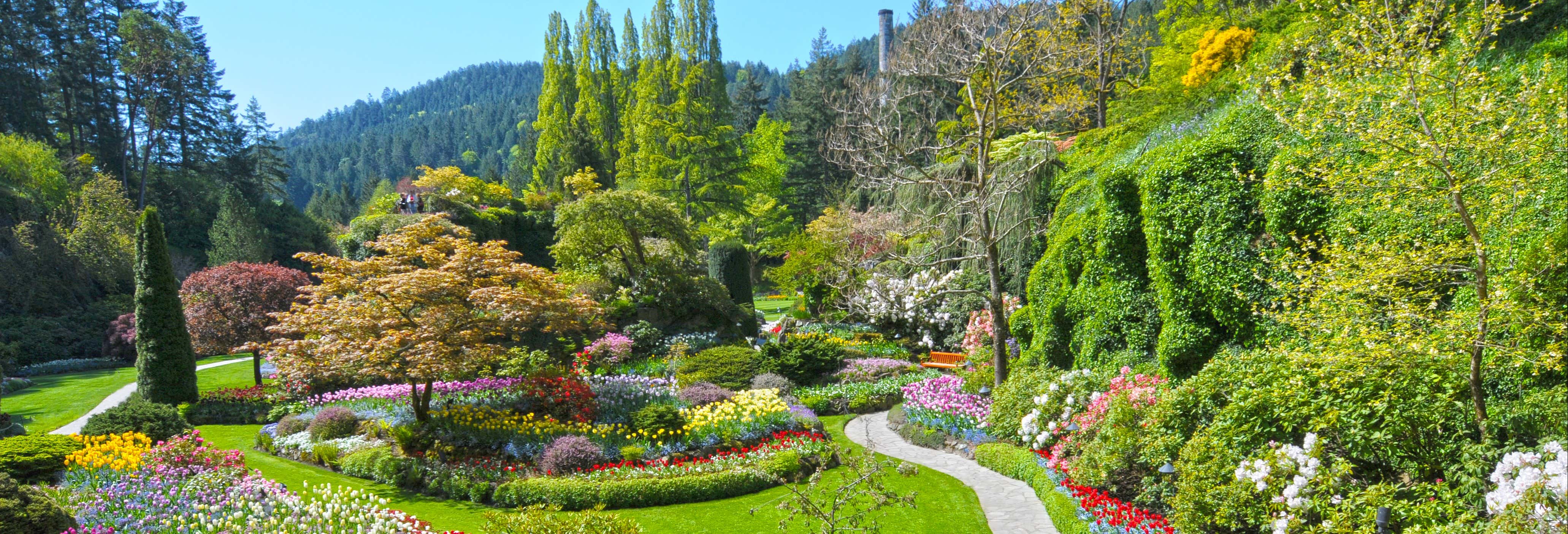 Excursões de um dia em Vancouver