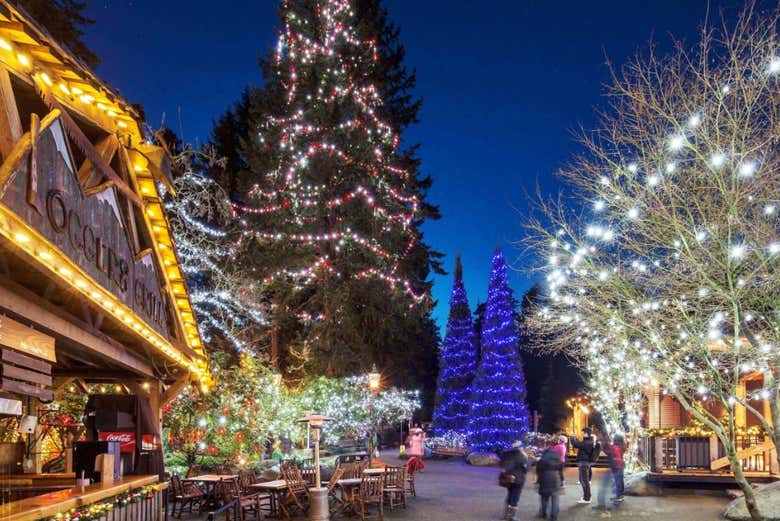 Árvores de Natal no Parque Capilano