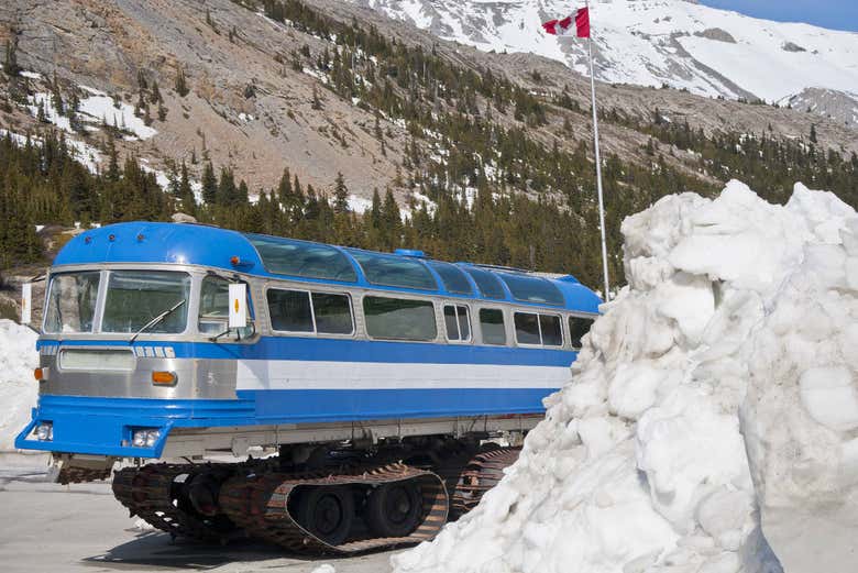 Views of the Athabasca glacier
