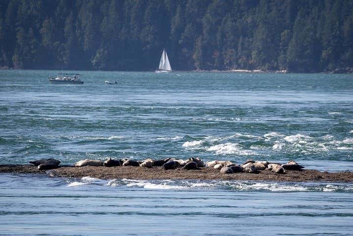 Landscapes in Vancouver
