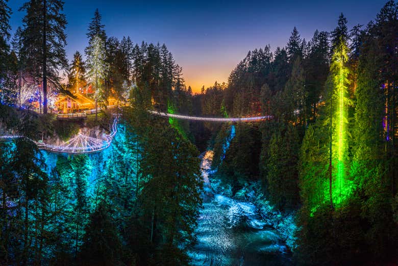 Luces navideñas en el Capilano