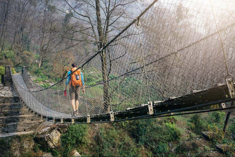 Walk among the treetops