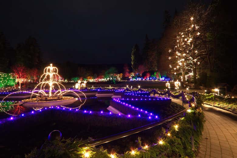 Vancouver or Victoria Christmas Tour photo