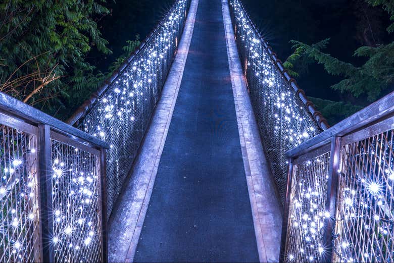 Vancouver or Victoria Christmas Tour photo