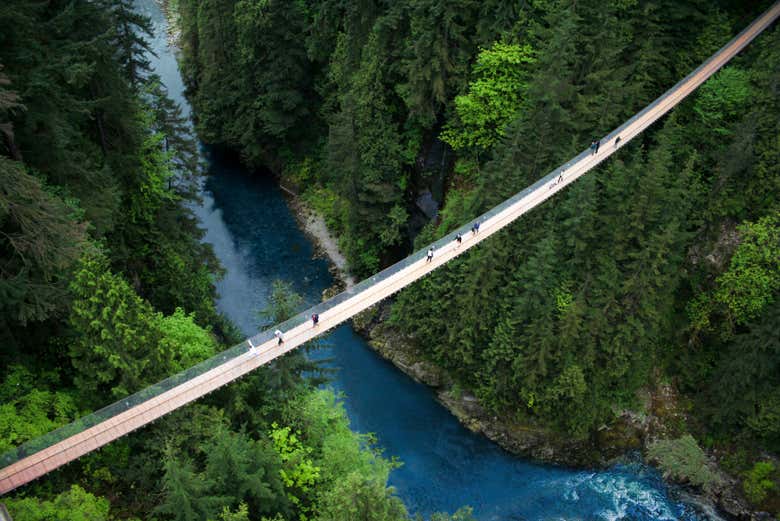 Attraversando un ponte sospeso