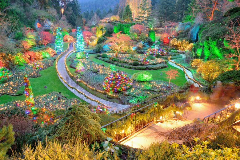 Vancouver or Victoria Christmas Tour photo