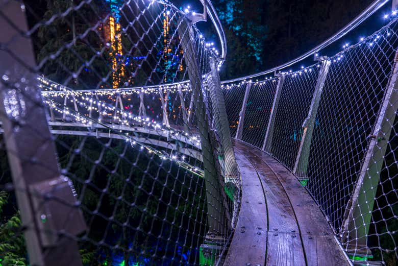 Vancouver or Victoria Christmas Tour photo