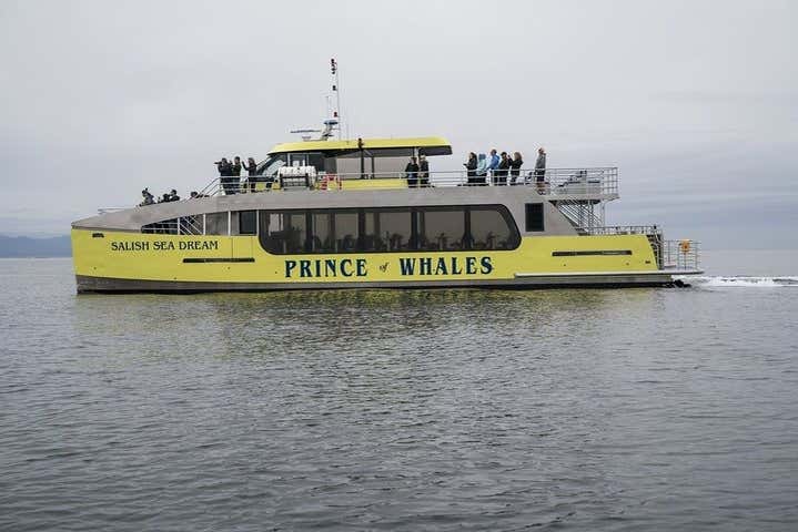 Boat during the cruise