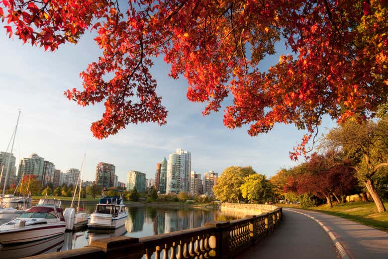 Walk through Stanley Park