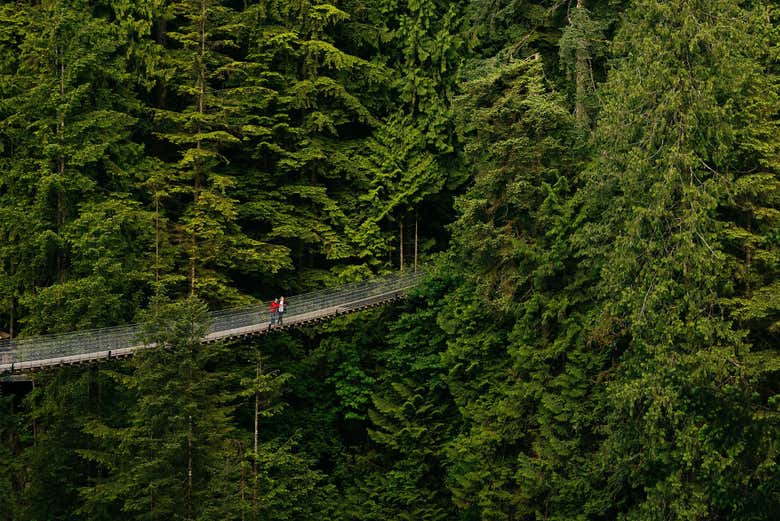 Ticket to Capilano Suspension Bridge Park, Vancouver
