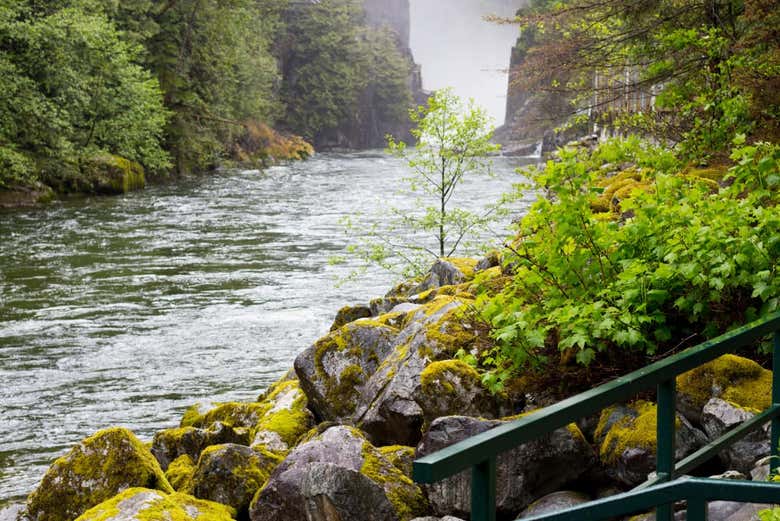 La ribera del río Capilano