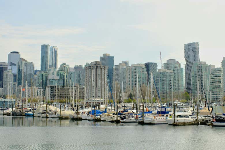 Take in stunning panoramas of the city