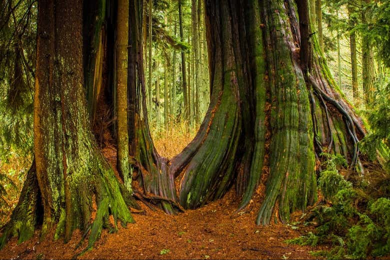 Admire the incredible biodiversity