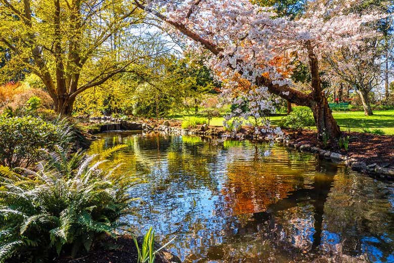 Beacon Hill Park