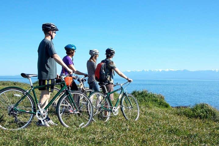 Cylists admiring the view