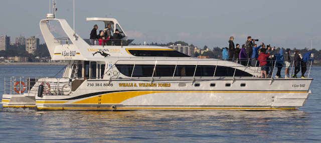 Balade en bateau sur le détroit de Juan de Fuca