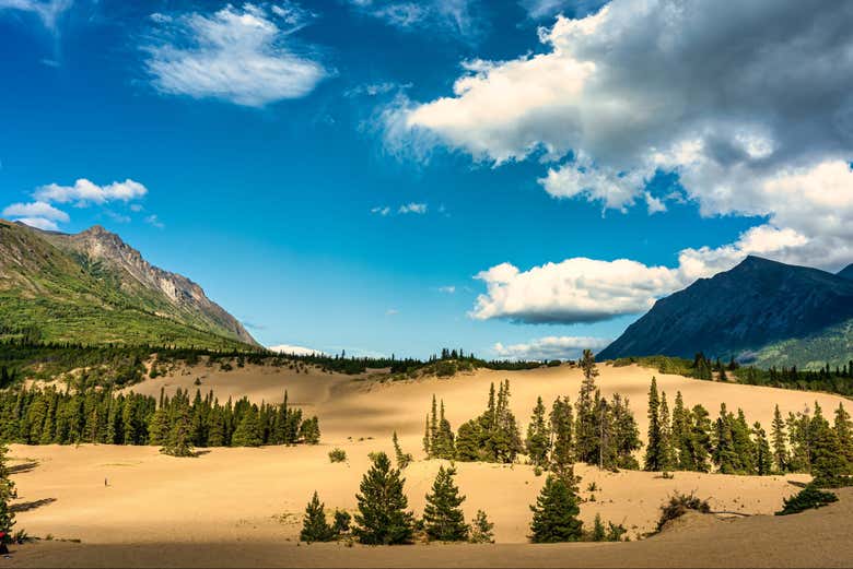 Il deserto di Carcross