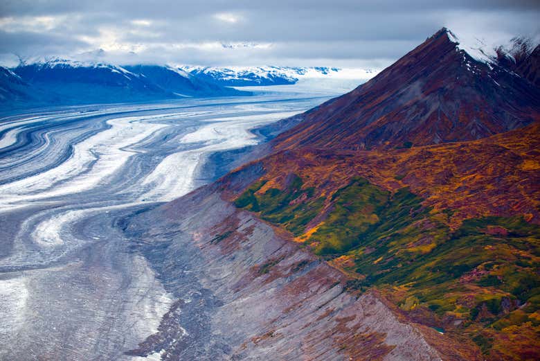 Excursión desde Whitehorse al Parque Nacional Kluane