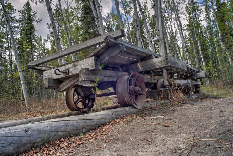 Febbre dell'oro a Whitehorse