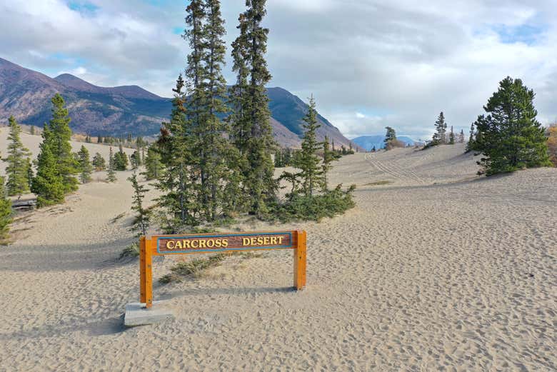 Il deserto di Carcross