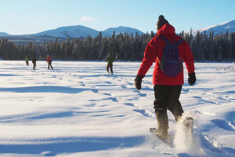 Attraverserete paesaggi innevati di una bellezza senza pari