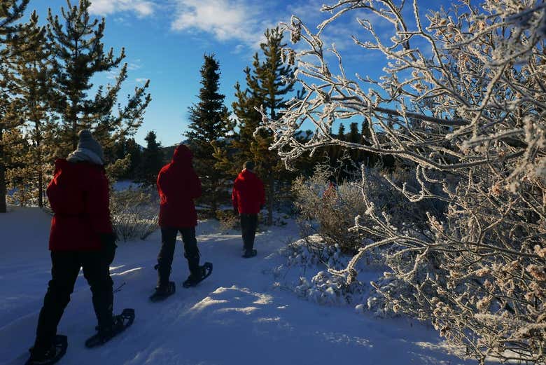 Paseo con raquetas de nieve
