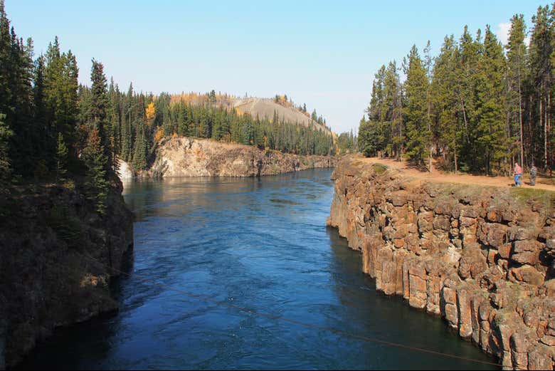 Los caminos por los que pasearemos