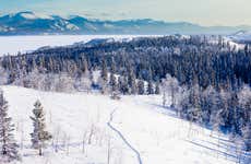 Paseo con raquetas de nieve