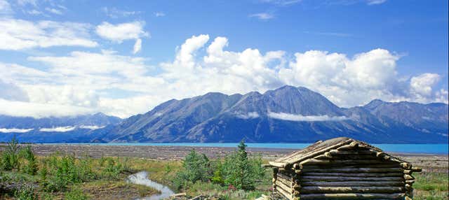 Wild Yukon & Hot Springs Tour