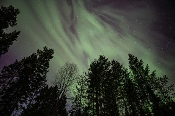 Tour de auroras boreales por Whitehorse en 4 días