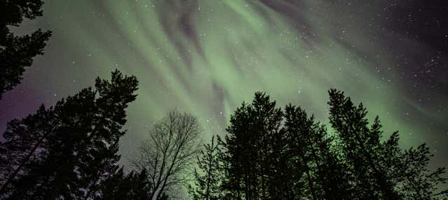 Tour de auroras boreales por Whitehorse en 4 días